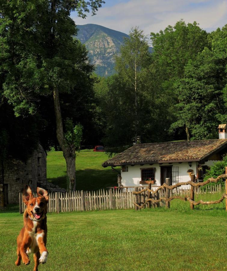 Forgaria nel Friuli Baita Tana Da L'Ors מראה חיצוני תמונה